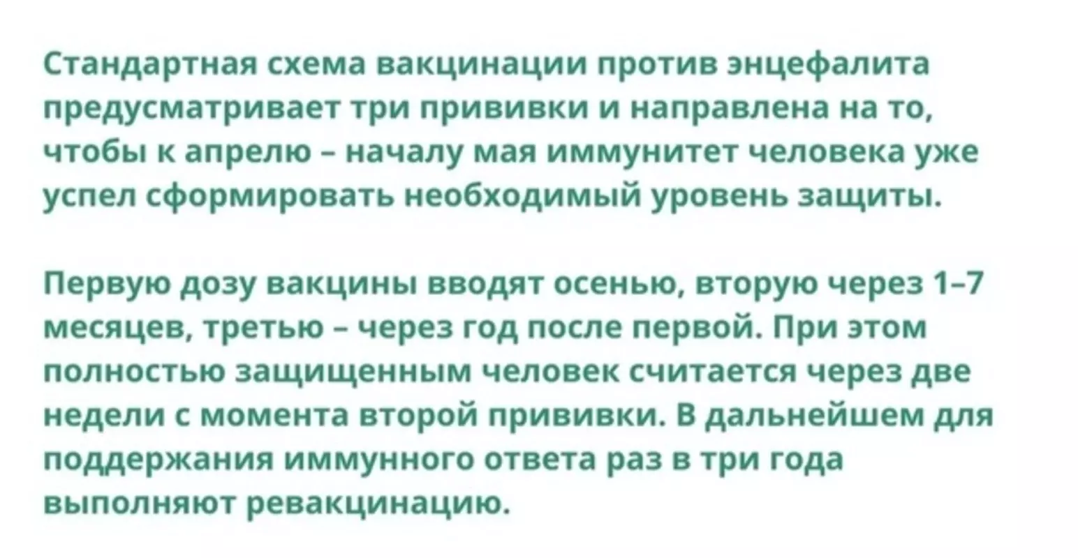 В стрельнинской поликлинике возобновилась вакцинация от энцефалитного клеща
