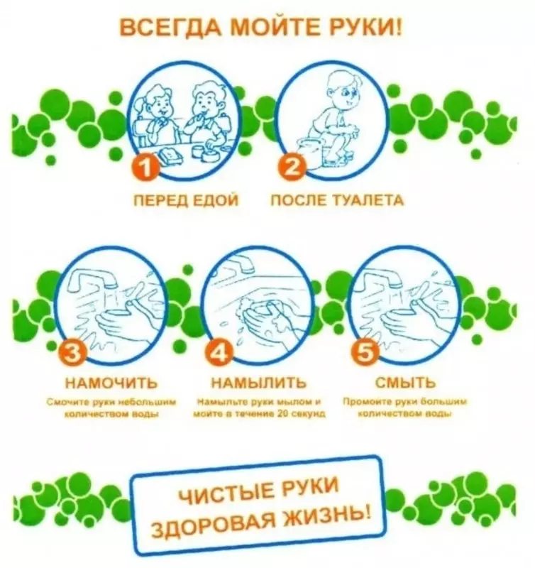 Жителям Стрельны: ГЦМП о пользе и необходимости мытья рук