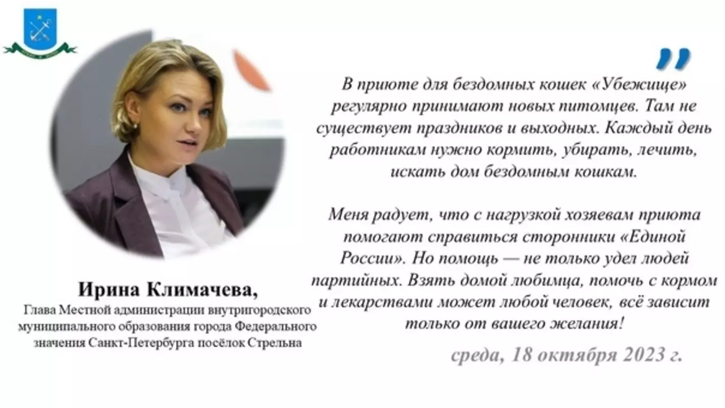 Помочь кошачьему приюту «Убежище» предлагает партия «Единая Россия» и глава МА МО пос. Стрельна Ирина Климачева