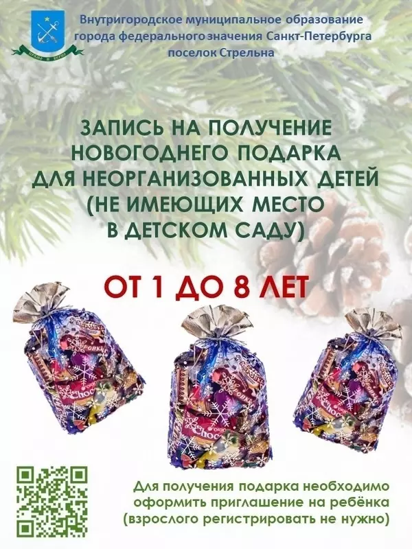 О формировании муниципалитетом посёлка Стрельна списков для вручения новогодних подарков детям-стрельнинцам напомнила депутат Лаура Макеева