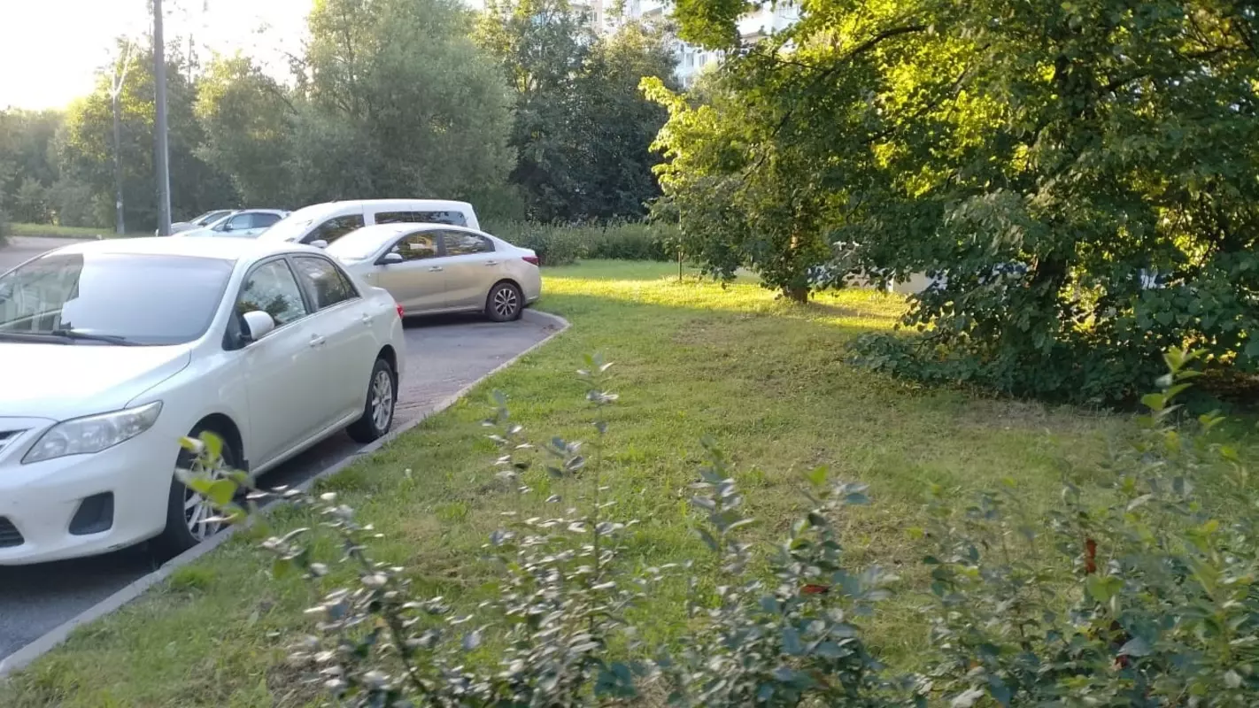 Дневник благоустройства Стрельны 06.09.2023