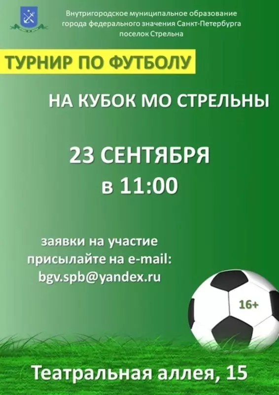 Турнир по футболу на кубок МО Стрельны