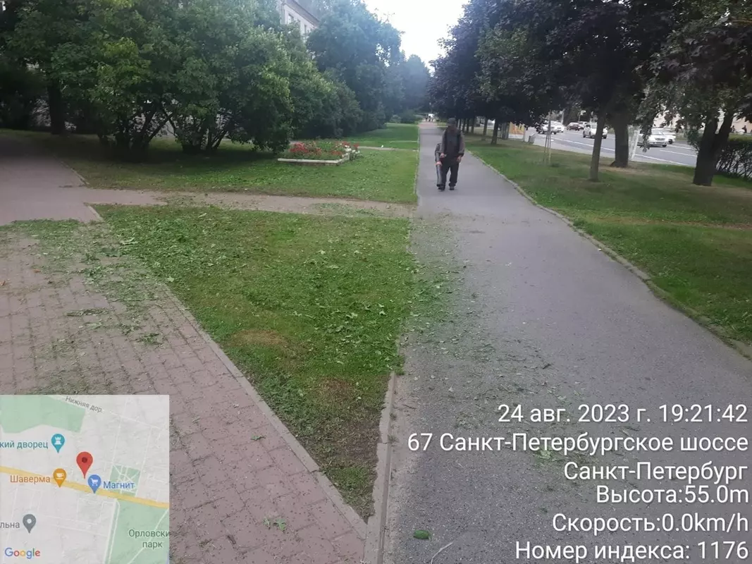 Дневник благоустройства Стрельны 24.08.2023