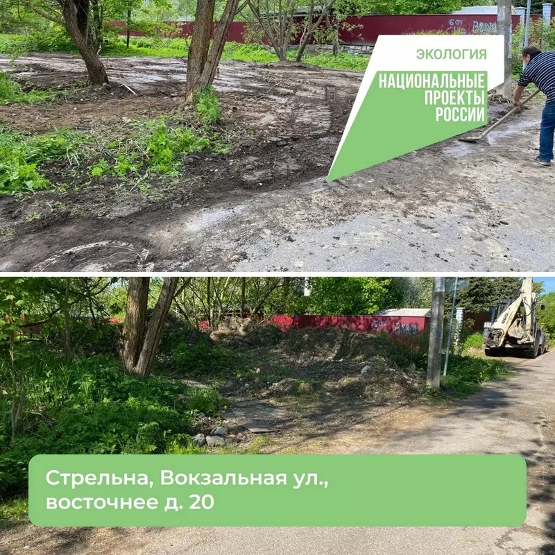 Несанкционированная свалка в посёлке Стрельна ликвидирована