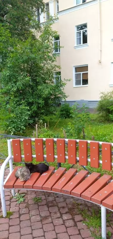 Стрельна глазами народных журналистов