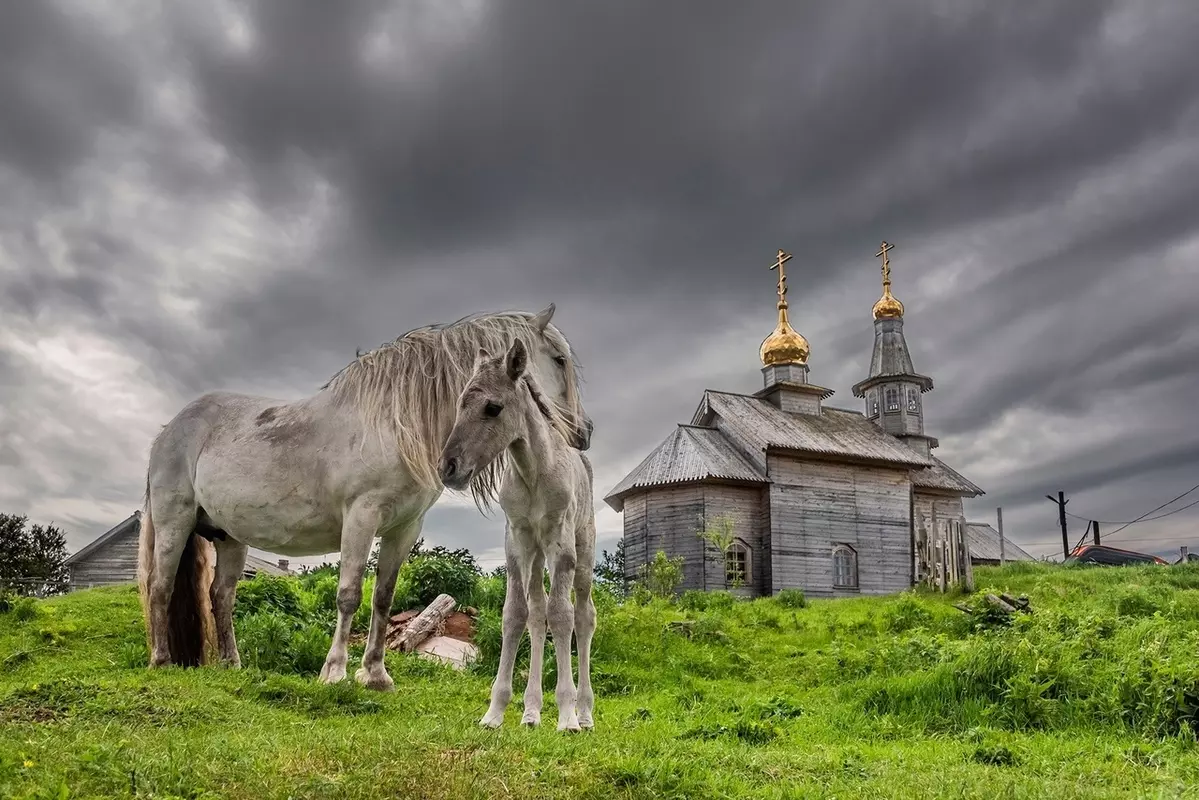 Принять участие в фотоконкурсе «Русская цивилизация» предлагает депутат Павел Горбунов