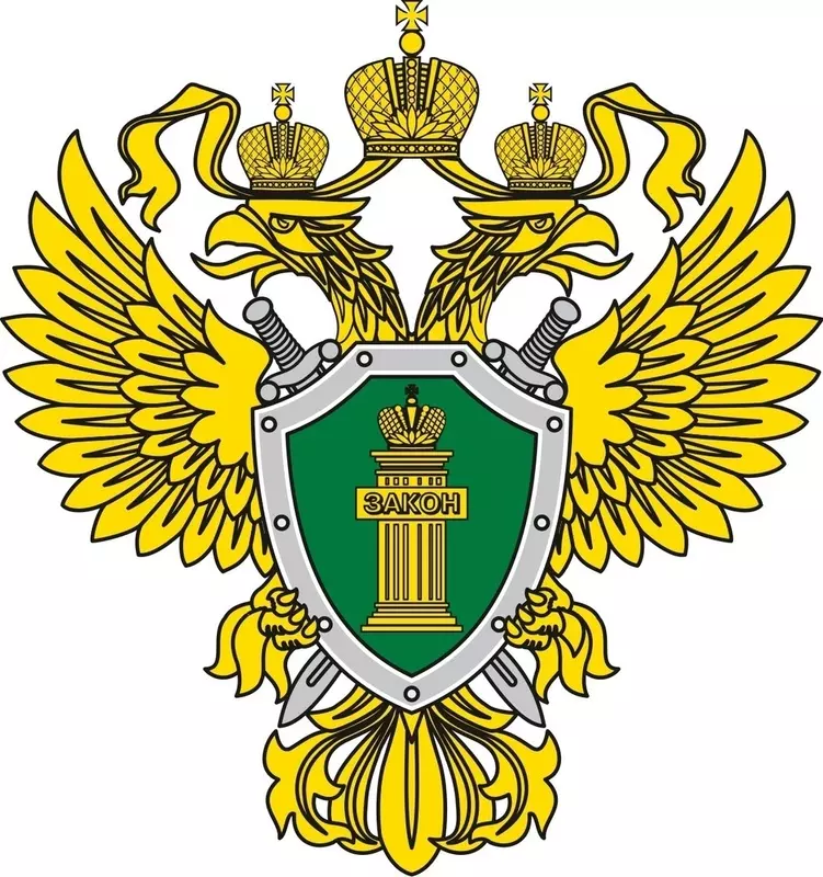 Информацию прокуратуры Петродворцового района прокомментировал депутат МО пос. Стрельна Роман Чепурнов