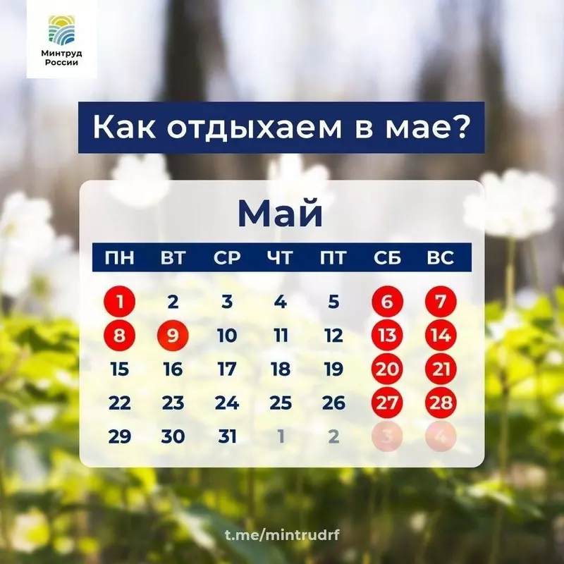 Минтруд напоминает о праздничных выходных в мае — комментарий депутата Лауры Макеевой