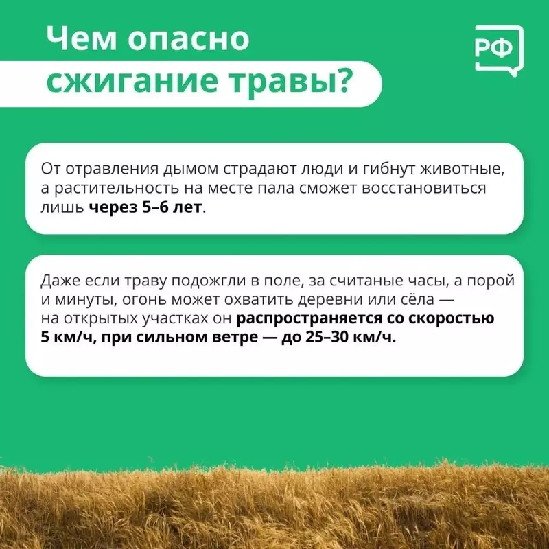 О правильных действиях в ситуации, когда вы видите горящую траву недалеко от домов и о том, какие штрафы предусмотрены за поджог, сообщила депутат МО пос. Стрельна Лаура Макеева