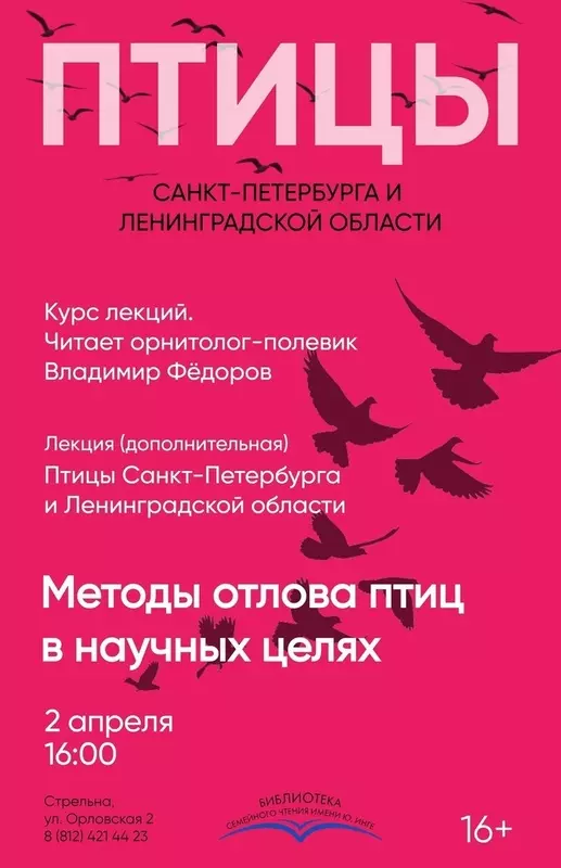 Посетить дополнительную лекцию «Методы отлова птиц в научных целях» в рамках орнитологического цикла в стрельнинской библиотеке жителям Стрельны предлагает депутат Елена Сергиеня