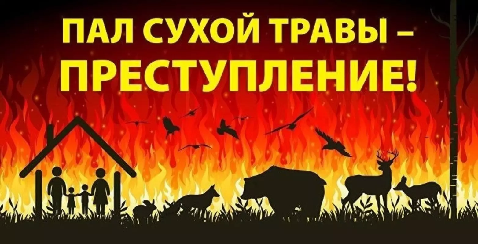 Об опасности пала сухой травы напоминают ПСО Петродворцового района и депутат МО пос. Стрельна Михаил Калинин