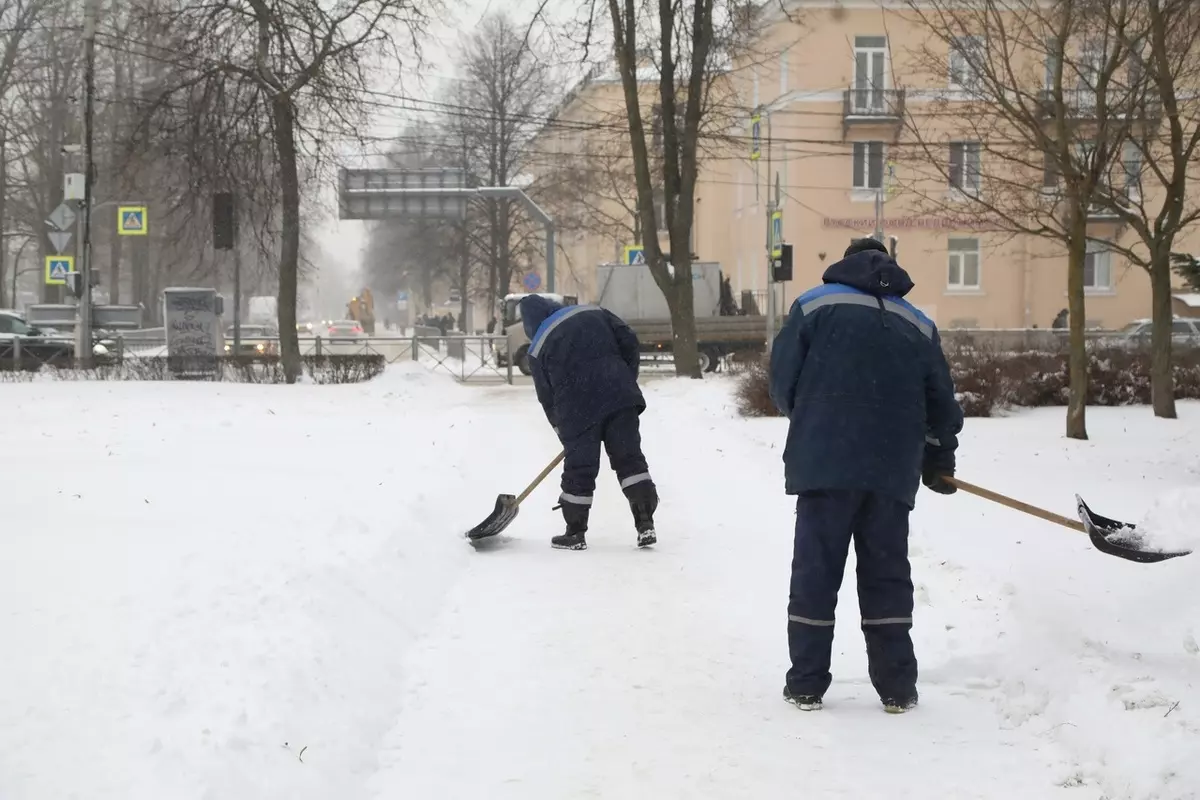 Быть аккуратнее на дорогах призывает депутат Елена Сергиеня