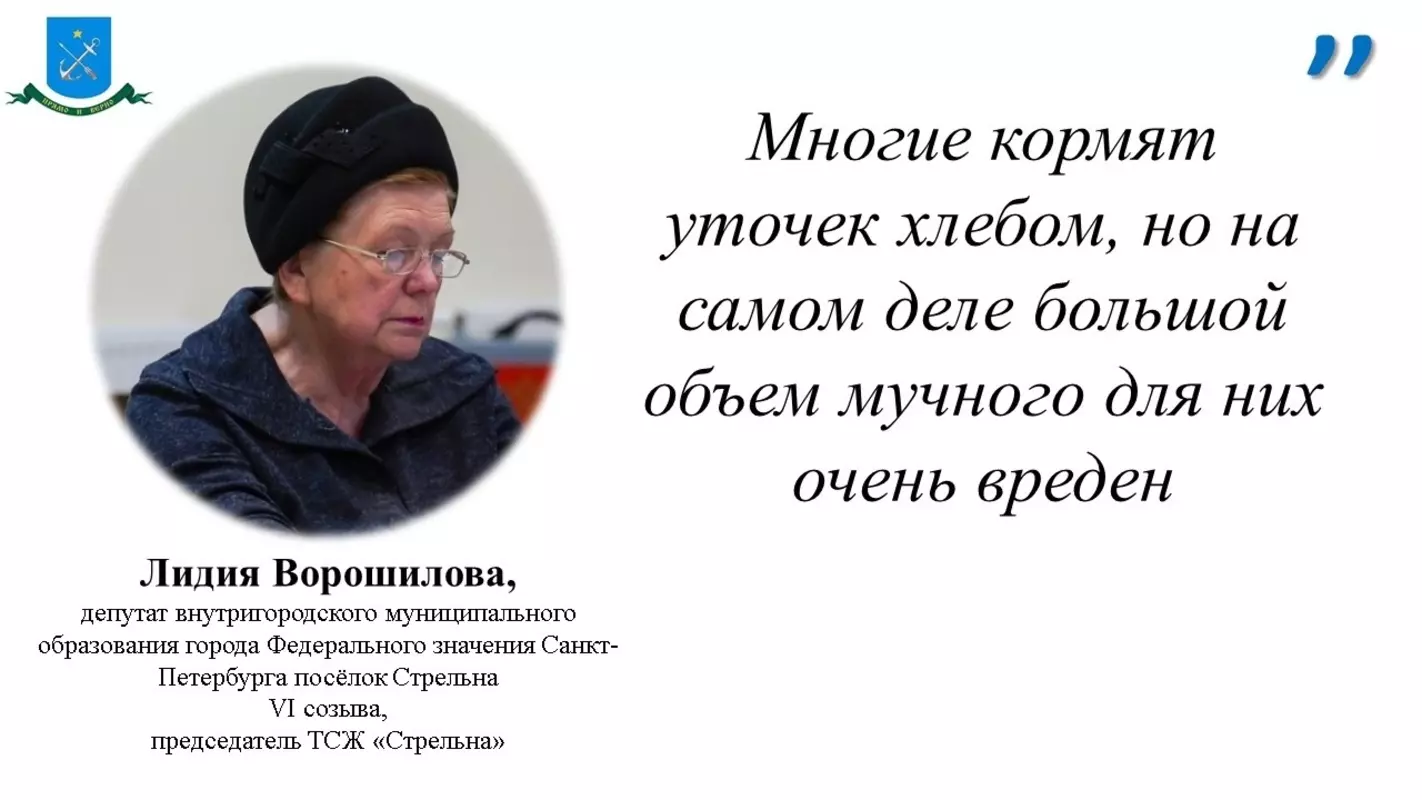 Чем лучше кормить уточек узнала депутат Лидия Ворошилова в телеграм-канале ГМЗ «Петергоф»