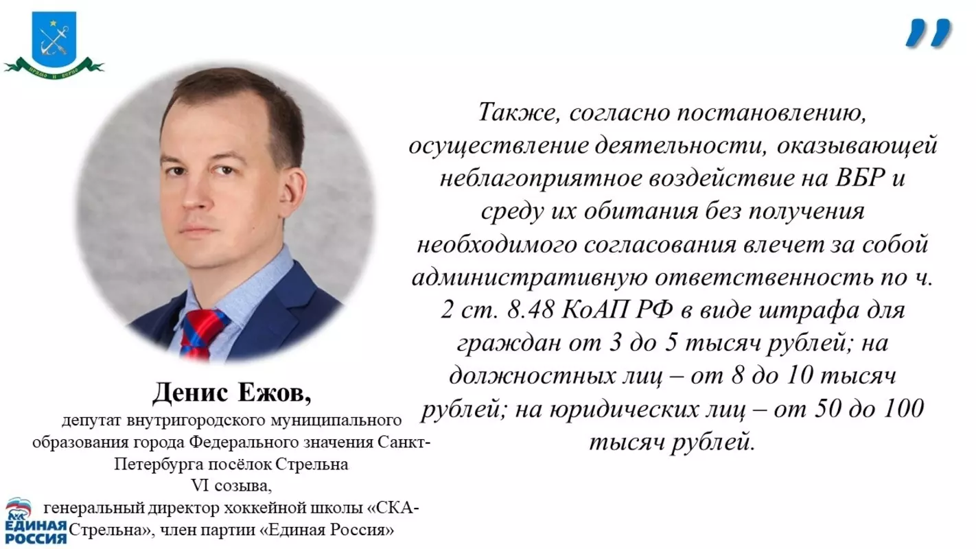 Депутат Денис Ежов и прокуратура предупреждает о согласовании деятельности у водоёмов