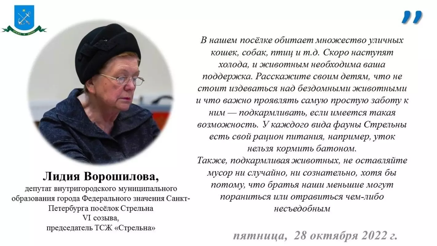 Депутат Лидия Ворошилова о бережном и гуманном отношении к братьям нашим меньшим