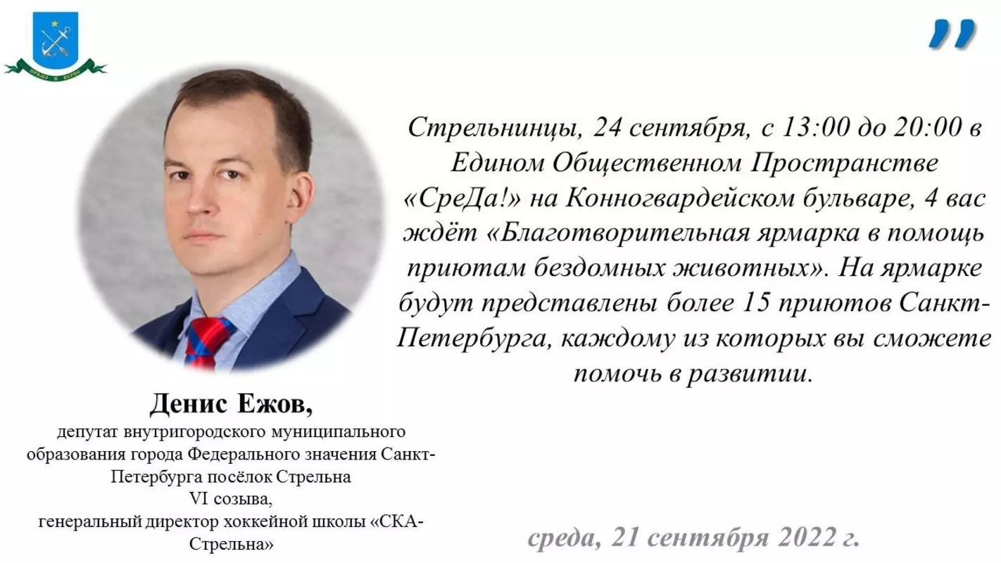 Депутат Денис Ежов приглашает на благотворительную ярмарку в помощь приютам бездомных животных