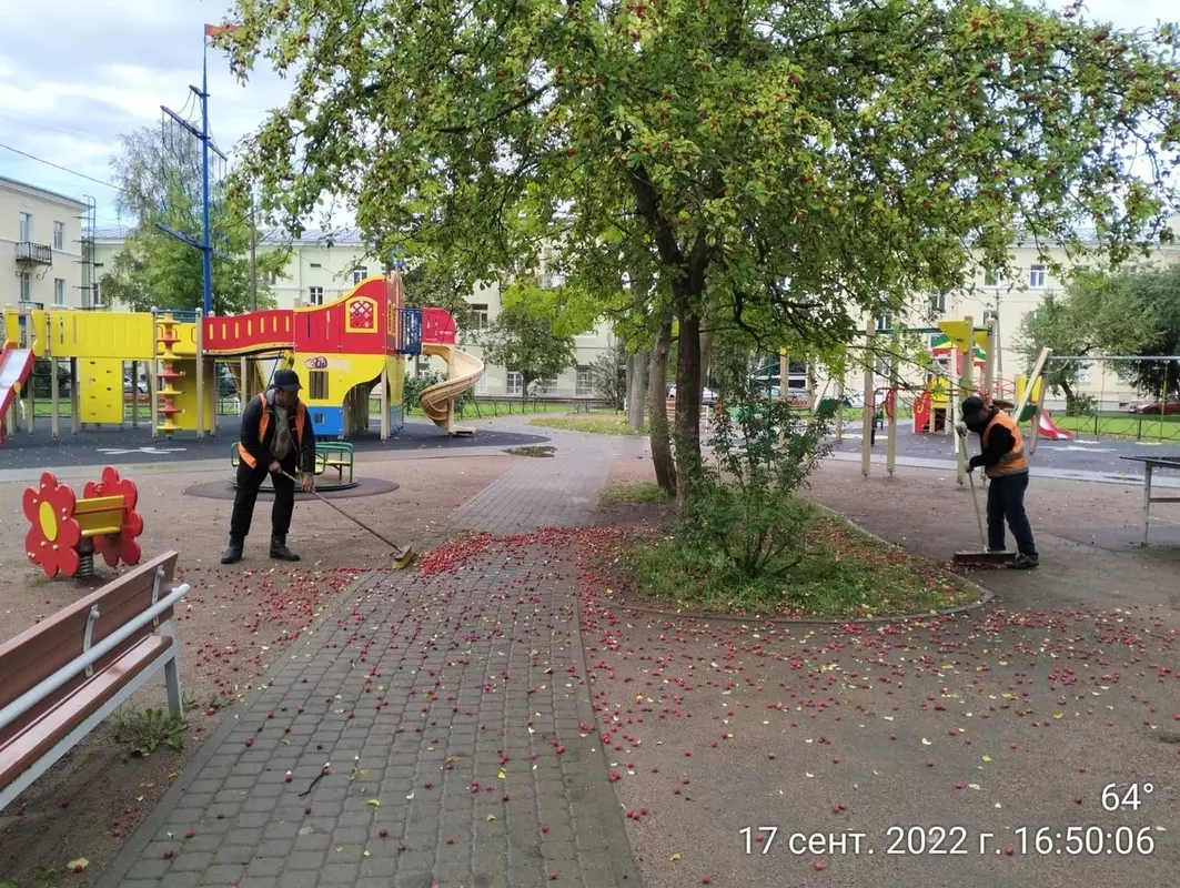 Дневник благоустройства Стрельны от 17.09.2022