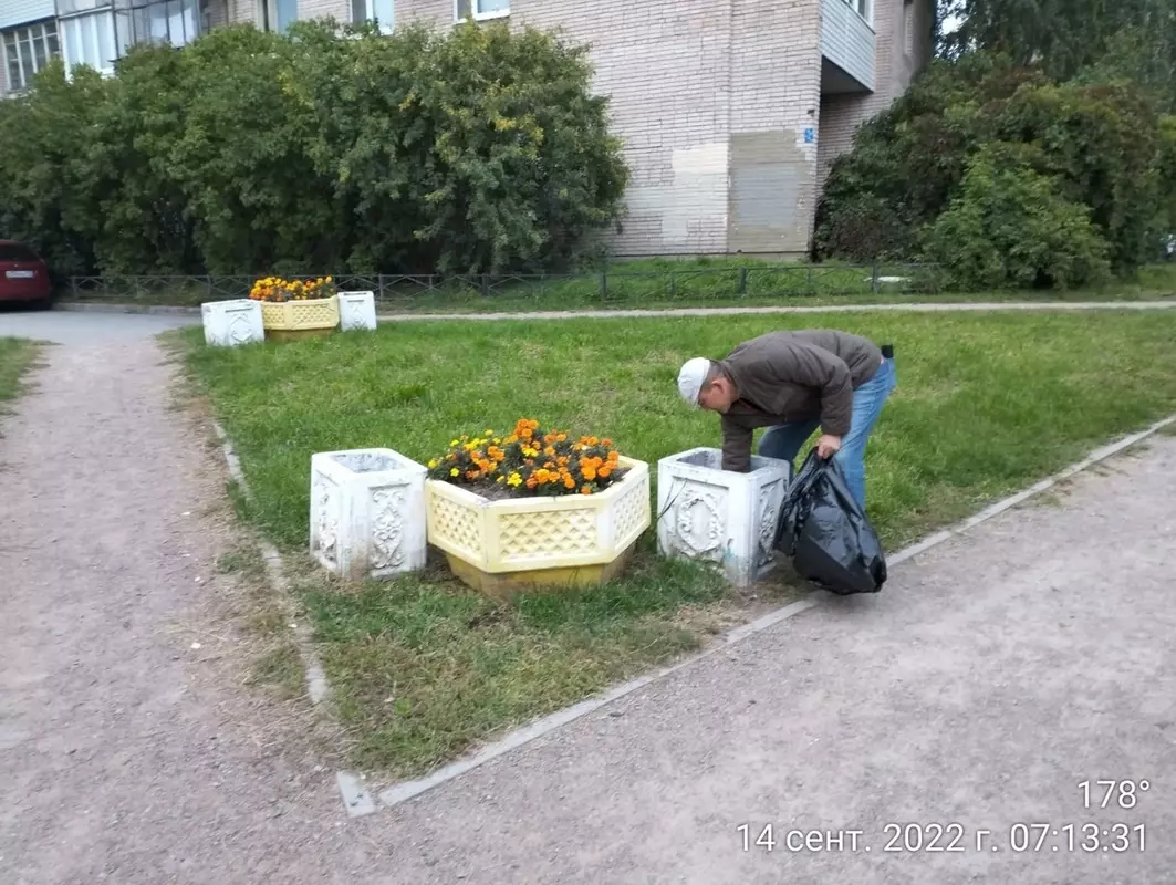Дневник благоустройства Стрельны от 14.09.2022