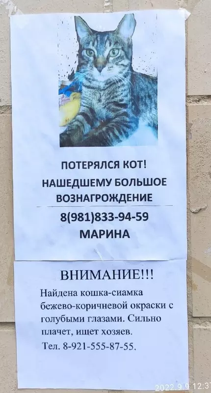 Потеряшки в Стрельне