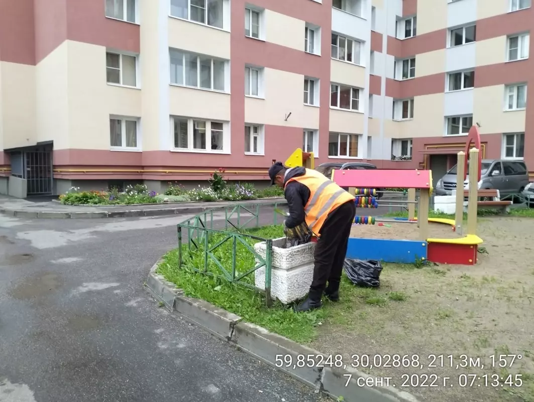 Дневник благоустройства Стрельны от 08.09.2022