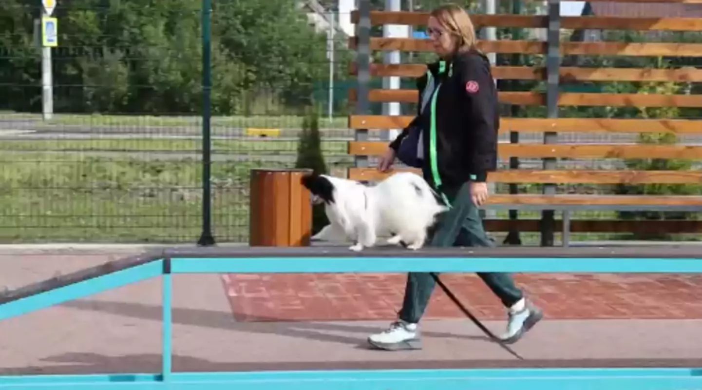 Площадка для выгула и дрессировки собак открыта в Петергофе