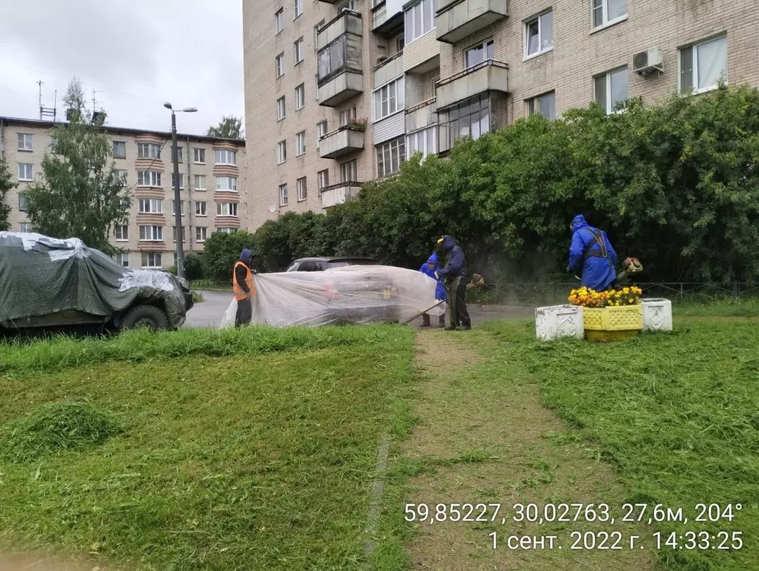 Дневник благоустройства Стрельны от 01.09.2022