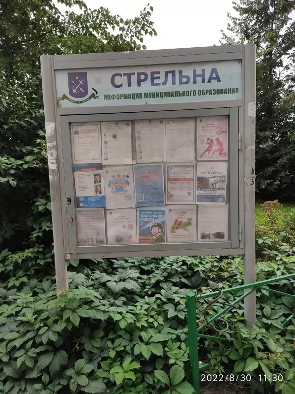 Дневник смены информации на муниципальных стендах. 30 августа 2022