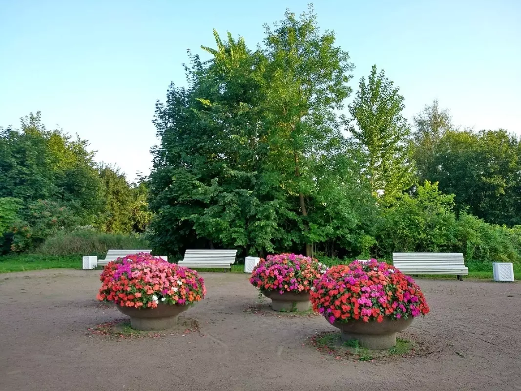 Стрельна глазами народных журналистов