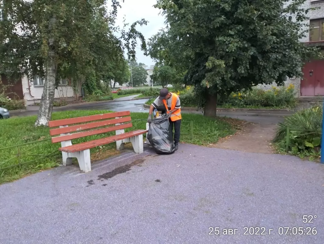 Дневник благоустройства Стрельны. 26.08.2022