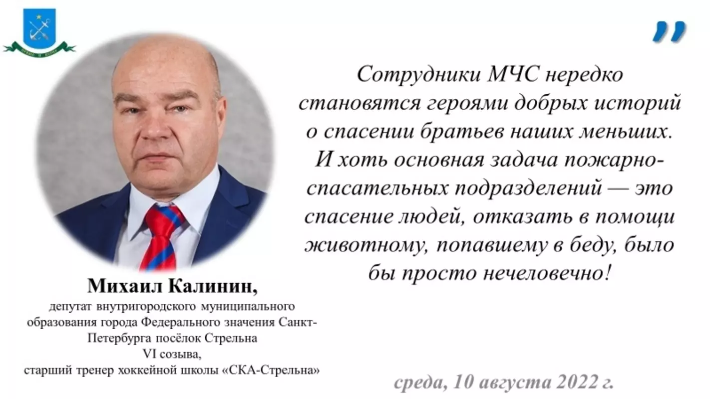 Депутат Михаил Калинин о добром спасении котёнка сотрудниками МЧС