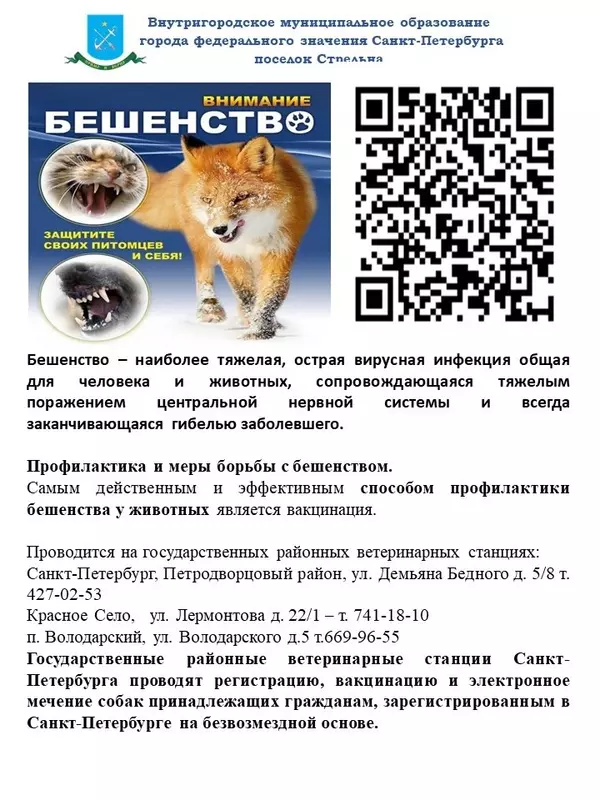 Депутат Артём Иванов и государственная ветеринарная служба о бешенстве у животных