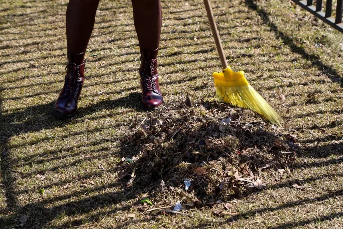 Вместе с депутатом Еленой Сергиеней наведём порядок рядом с домом