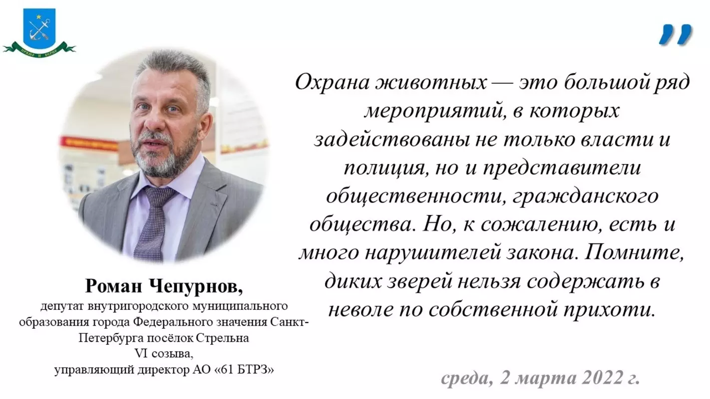 Депутат Роман Чепурнов и прокуратура предупреждают, что дикие звери не могут быть предметом забавы