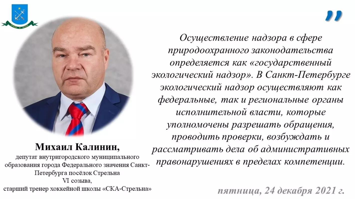 Депутат Михаил Калинин и природоохранная прокуратура о результатах проверки