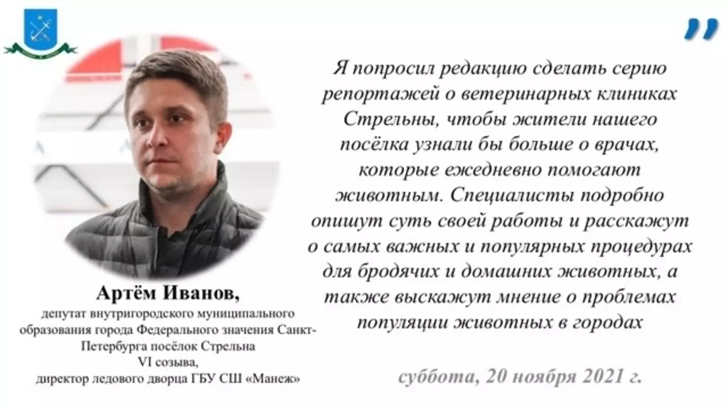 Депутат Артём Иванов поручил редакции «Вестей Стрельны» сделать репортажи о ветеринарных клиниках Стрельны