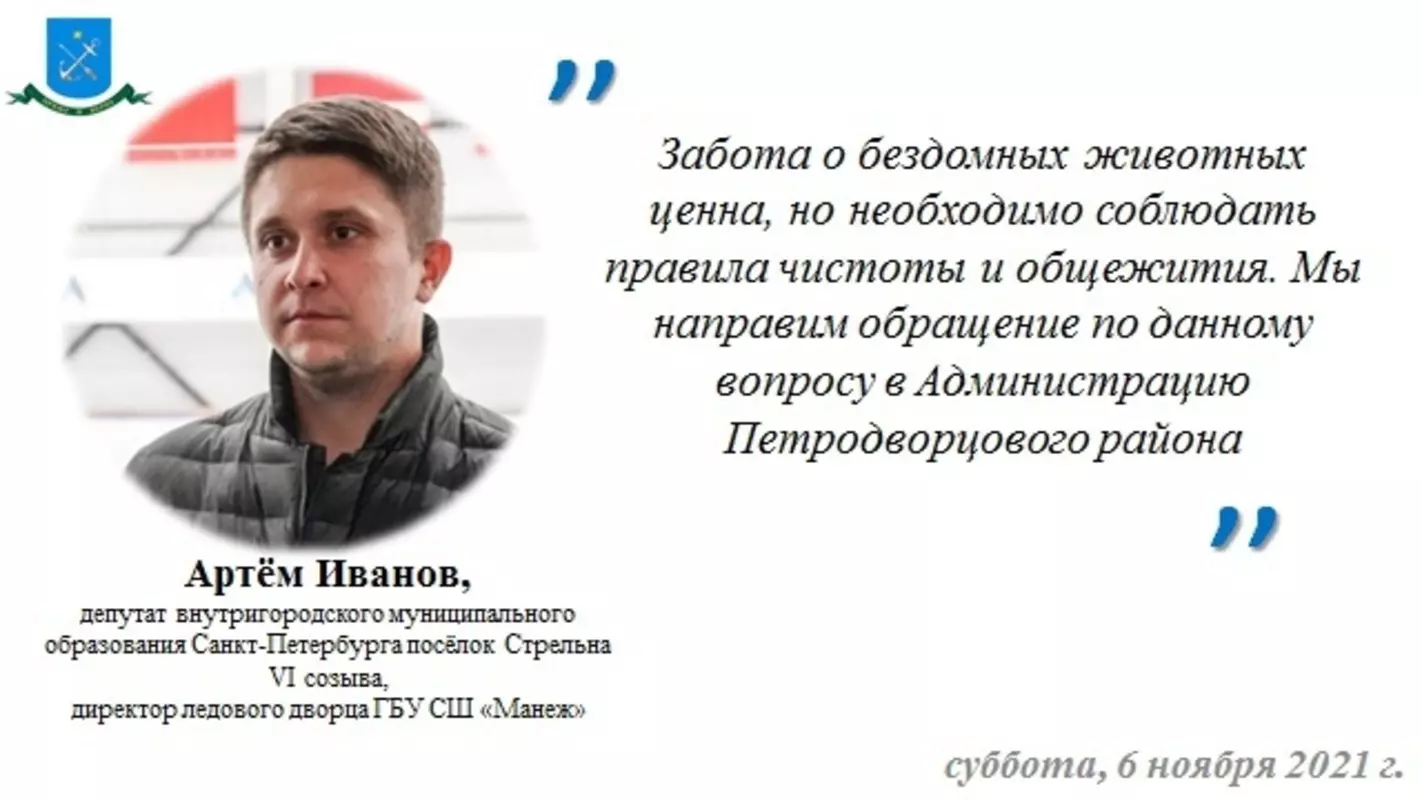 Разведение кошек в многоэтажке в Стрельне